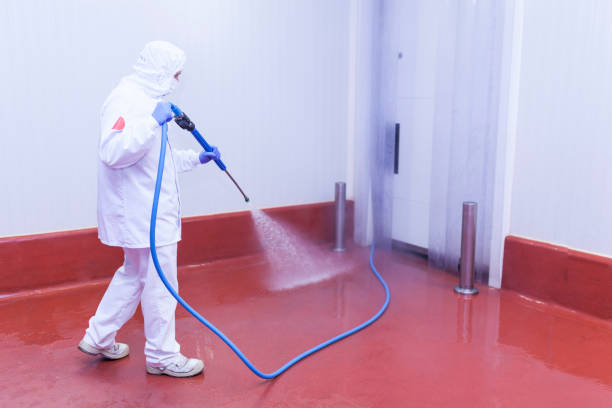 Best Pool Deck Cleaning  in French Valley, CA